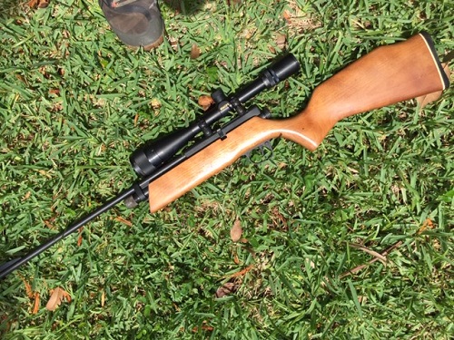 crosman 262 sporter