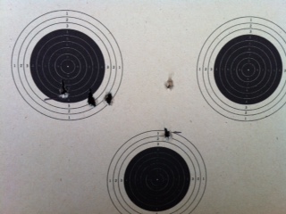 crosman 262 sporter