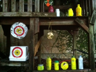 airgun target