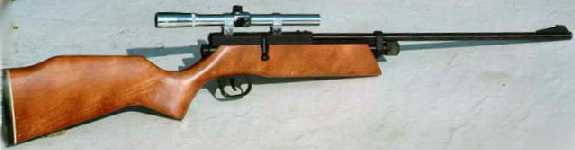 picture of the 262